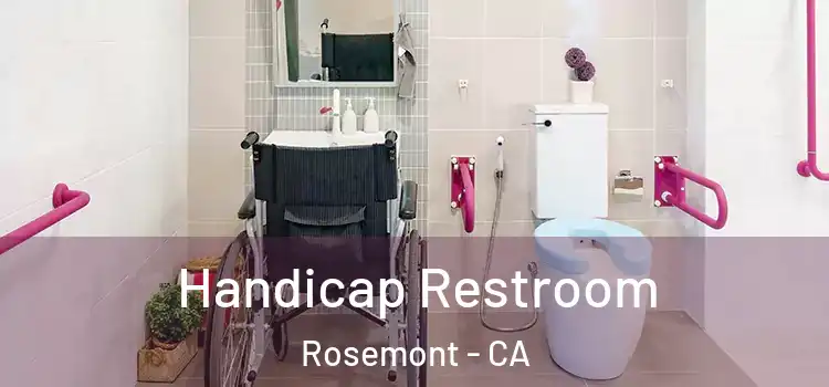 Handicap Restroom Rosemont - CA