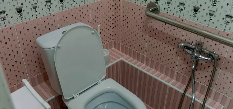 Meeting Diverse Needs With Accessible Restroom Solutions in Rosemont, CA