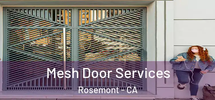 Mesh Door Services Rosemont - CA